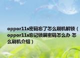 oppor11s密碼忘了怎么刷機(jī)解鎖（oppor11s忘記鎖屏密碼怎么辦 怎么刷機(jī)介紹）