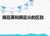 豌豆苗和豌豆尖的區(qū)別