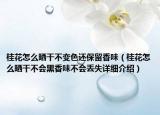 桂花怎么曬干不變色還保留香味（桂花怎么曬干不會(huì)黑香味不會(huì)丟失詳細(xì)介紹）