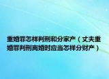 重婚罪怎樣判刑和分家產(chǎn)（丈夫重婚罪判刑離婚時應(yīng)當(dāng)怎樣分財產(chǎn)）