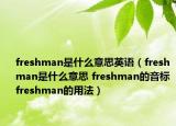 freshman是什么意思英語（freshman是什么意思 freshman的音標(biāo) freshman的用法）