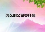 怎么叫公司交社保
