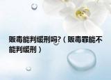 販毒能判緩刑嗎?（販毒罪能不能判緩刑）