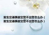 發(fā)生交通事故交警不出警怎么辦（發(fā)生交通事故交警不出警怎么辦）