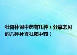 壯陽補(bǔ)腎中藥有幾種（分享常見的幾種補(bǔ)腎壯陽中藥）