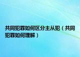共同犯罪如何區(qū)分主從犯（共同犯罪如何理解）