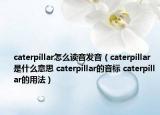 caterpillar怎么讀音發(fā)音（caterpillar是什么意思 caterpillar的音標(biāo) caterpillar的用法）