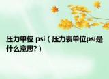 壓力單位 psi（壓力表單位psi是什么意思?）