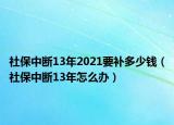 社保中斷13年2021要補多少錢（社保中斷13年怎么辦）