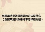 魚腥草消炎效果最好的方法是什么（魚腥草消炎效果好不好詳細(xì)介紹）
