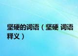 堅(jiān)硬的詞語(yǔ)（堅(jiān)硬 詞語(yǔ)釋義）