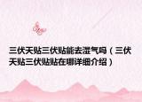 三伏天貼三伏貼能去濕氣嗎（三伏天貼三伏貼貼在哪詳細(xì)介紹）