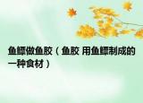 魚鰾做魚膠（魚膠 用魚鰾制成的一種食材）