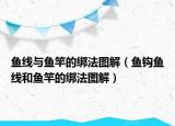 魚線與魚竿的綁法圖解（魚鉤魚線和魚竿的綁法圖解）
