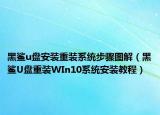 黑鯊u盤安裝重裝系統(tǒng)步驟圖解（黑鯊U盤重裝WIn10系統(tǒng)安裝教程）