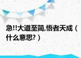 急!!大道至簡,悟者天成（什么意思?）