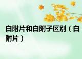 白附片和白附子區(qū)別（白附片）