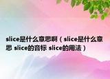slice是什么意思啊（slice是什么意思 slice的音標(biāo) slice的用法）