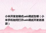 小米開發(fā)者模式usb調(diào)試在哪（小米手機(jī)如何打開usb調(diào)試開發(fā)者選項(xiàng)）