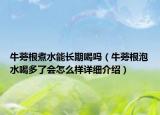 牛蒡根煮水能長期喝嗎（牛蒡根泡水喝多了會怎么樣詳細介紹）