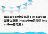 impaction中文意思（impaction是什么意思 impaction的音標(biāo) impaction的用法）