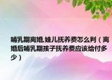 哺乳期離婚,娃兒撫養(yǎng)費(fèi)怎么判（離婚后哺乳期孩子撫養(yǎng)費(fèi)應(yīng)該給付多少）