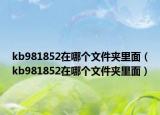 kb981852在哪個文件夾里面（kb981852在哪個文件夾里面）