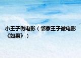 小王子微電影（鄰家王子微電影《如果》）