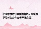 吃通草下奶對寶寶有害嗎（吃通草下奶對寶寶有害嗎詳細介紹）