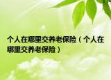 個人在哪里交養(yǎng)老保險(xiǎn)（個人在哪里交養(yǎng)老保險(xiǎn)）