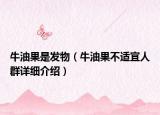 牛油果是發(fā)物（牛油果不適宜人群詳細介紹）