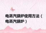 電蒸汽鍋爐使用方法（電蒸汽鍋爐）