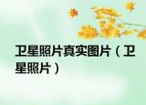 衛(wèi)星照片真實圖片（衛(wèi)星照片）