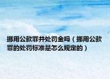 挪用公款罪并處罰金嗎（挪用公款罪的處罰標(biāo)準(zhǔn)是怎么規(guī)定的）