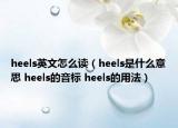 heels英文怎么讀（heels是什么意思 heels的音標 heels的用法）