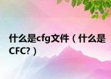 什么是cfg文件（什么是CFC?）