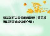 菊花茶可以天天喝嗎視頻（菊花茶可以天天喝嗎詳細(xì)介紹）