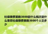 社保繳費(fèi)基數(shù)3800是什么檔次是什么意思社保繳費(fèi)基數(shù)3800個(gè)人交多少