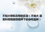 不知火柑和丑柑的區(qū)別（不知火 蕓香科柑橘屬柑橘種下的雜柑品種）