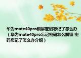 華為mate40pro鎖屏密碼忘記了怎么辦（華為mate40pro忘記密碼怎么解鎖 密碼忘記了怎么辦介紹）