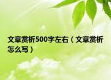 文章賞析500字左右（文章賞析怎么寫）