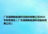 廣東猛獅新能源科技股份有限公司2021年財務報告（廣東猛獅新能源科技股份有限公司）