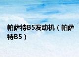 帕薩特B5發(fā)動機（帕薩特B5）
