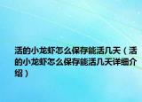 活的小龍蝦怎么保存能活幾天（活的小龍蝦怎么保存能活幾天詳細(xì)介紹）
