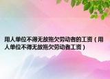 用人單位不得無故拖欠勞動者的工資（用人單位不得無故拖欠勞動者工資）