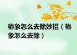 椿象怎么去除妙招（椿象怎么去除）