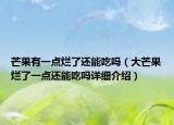 芒果有一點爛了還能吃嗎（大芒果爛了一點還能吃嗎詳細介紹）