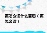 菰怎么讀什么意思（菰怎么讀）