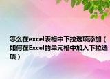 怎么在excel表格中下拉選項添加（如何在Excel的單元格中加入下拉選項）