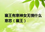 襄王有意神女無情什么意思（襄王）